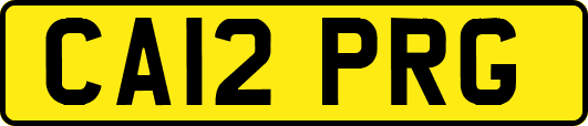 CA12PRG