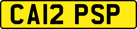 CA12PSP