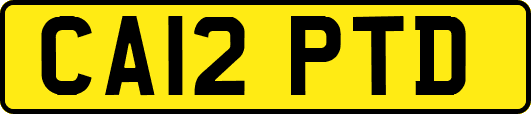 CA12PTD