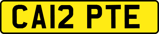 CA12PTE