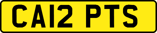 CA12PTS