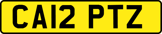 CA12PTZ
