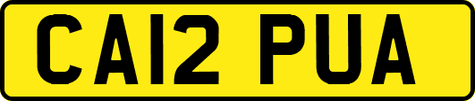 CA12PUA