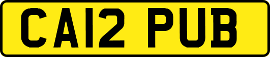 CA12PUB
