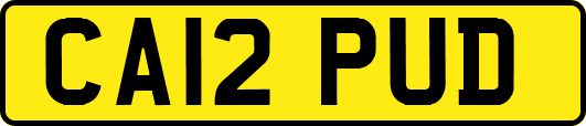 CA12PUD