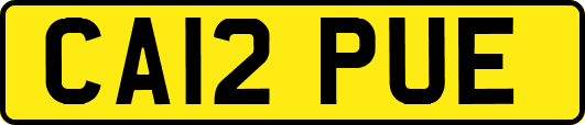 CA12PUE