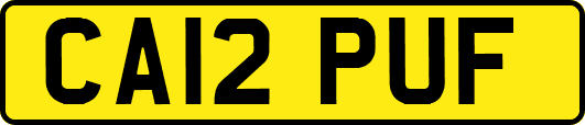 CA12PUF