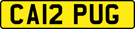 CA12PUG