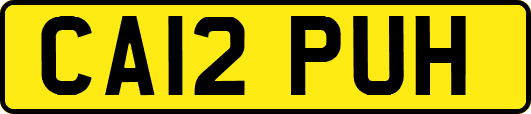 CA12PUH