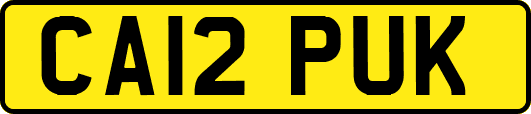 CA12PUK