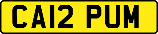 CA12PUM