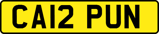CA12PUN