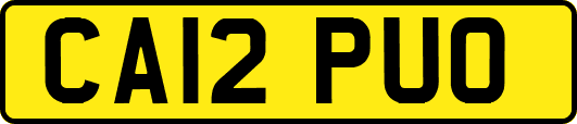 CA12PUO