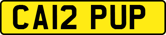 CA12PUP