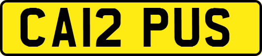 CA12PUS