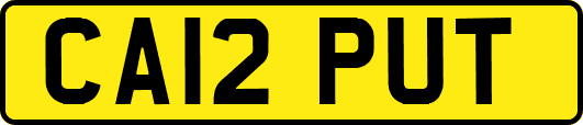 CA12PUT