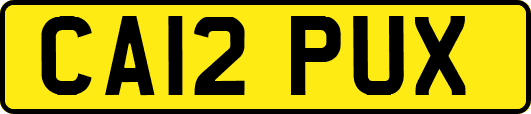 CA12PUX