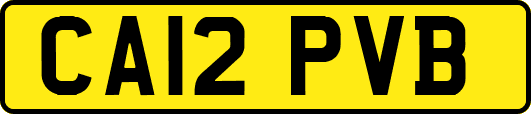 CA12PVB