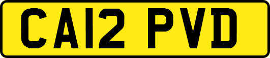 CA12PVD
