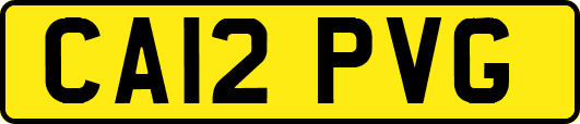 CA12PVG