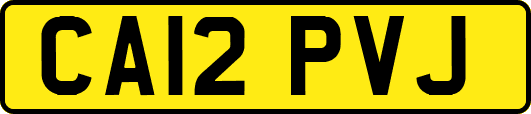 CA12PVJ