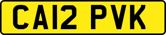 CA12PVK