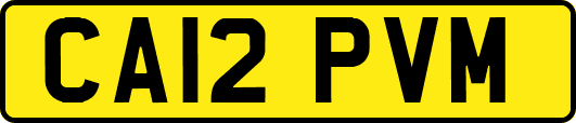 CA12PVM
