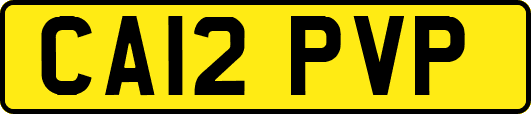 CA12PVP