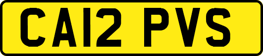 CA12PVS