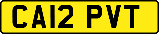 CA12PVT