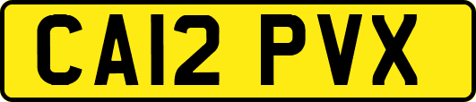 CA12PVX