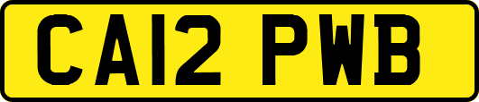CA12PWB