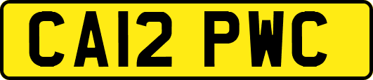 CA12PWC