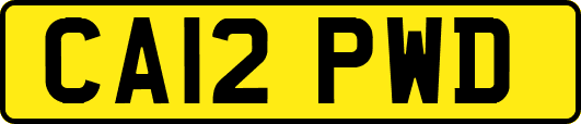 CA12PWD