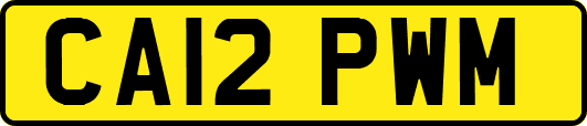 CA12PWM