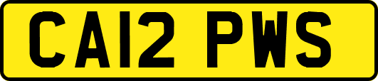 CA12PWS
