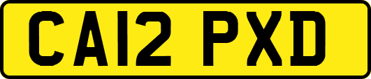 CA12PXD