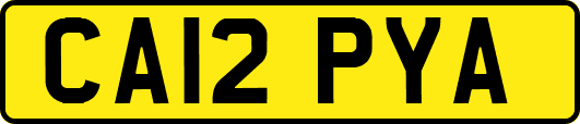 CA12PYA