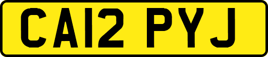 CA12PYJ