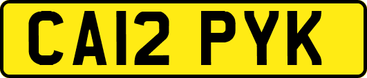 CA12PYK