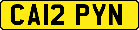 CA12PYN