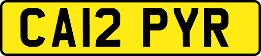 CA12PYR