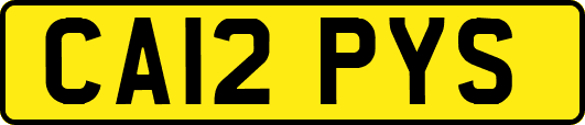 CA12PYS