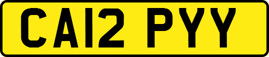 CA12PYY