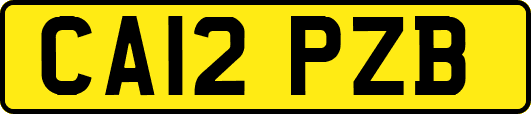 CA12PZB