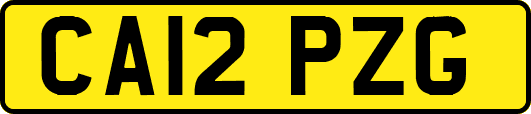 CA12PZG