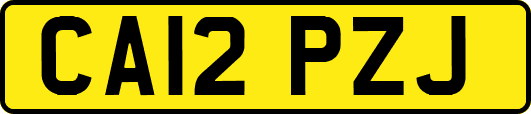 CA12PZJ