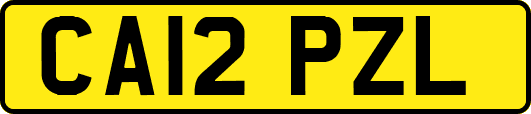 CA12PZL