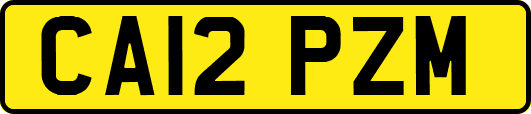 CA12PZM