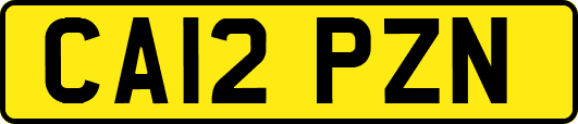 CA12PZN